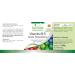 Fairvital | Vitamin B5 pantothenic acid 200mg - 8 months cure - VEGAN - High dosed - 250 tablets - Buy Online on GoSupps.com