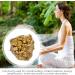 Shakven Crystal Geode Electroplated Golden Raw Crystal Clusters Mineral Specimen Natural Gemstone Ornament for Collection Meditation Home Decor Crafts - Buy Online on GoSupps.com