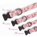 Heele Adjustable Dog Collar for Small Medium Large Dogs - Comfortable Patterned Pink Collar for Puppies (XS: 21.6-28cm 1.5cm Width) - Buy Online on GoSupps.com