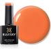 Bluesky Gel Nail Polish ORANGE SOME LIKE IT HOT SUMMER 2023 SS2319 UV LED Soak Off 10ml (Requires Curing Under UV LED Lamp) From The Speak Your Truth In Summer Collection  - Buy Online on GoSupps.com