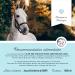 Horse Biotin Zinc Liquid 1000 ML - Skin Hair and Hoof Care for Horses - Biotin Zinc and MSM Liquid for a Healthy Coat - Coat and Hoof Care for Horses - Buy Online on GoSupps.com