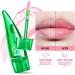 Aloe Vera Lip Balm Magic Colour Changing Lipstick Long Lasting Lip Balm Set Lips Moisturizer Aloe Vera Lip Stick for Women Girls (3Pack Lip Oil) - Buy Online on GoSupps.com