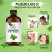 100% Pure Peppermint Essential Oil - Therapeutic Grade Aromatherapy Oil with Dropper - 4 Fl Oz - Natural Mentha Piperita for Diffusers - Buy Online on GoSupps.com