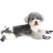 Zunea Dog Shoes - Slipproof Adjustable Reflective Paw Protection for Small Dogs | Breathable Heat-Resistant Summer Booties (Blue M - 4 Pack) - Buy Online on GoSupps.com