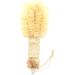 Earth Therapeutics Back Brush Removable 1 Count
