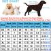 Shop Hualisiji Fleece Dog Sweater for Small Dogs - Warm Lightweight & Soft - XXL Blue & Pink (2PCs) | Perfect Winter Apparel for Your Pet - Buy Online on GoSupps.com