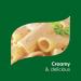 Knorr Sauce Mix Creamy Pasta Sauce For Simple Meals and Sides Parma Rosa No Artificial Flavors  No Added MSG 1.3 oz  Pack of 24 1.3 Ounce (Pack of 24) Parma Rosa - Buy Online on GoSupps.com