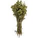 Oregano bunch organic wild sun dried from the Greek mountains 50g whole oregano bunch dark green with leaves and stems - Buy Online on GoSupps.com