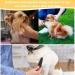 Tomtary Flea Comb Stainless Steel Fine Teeth Flea Comb Safe and Effective Dog Hair Comb Grooming Tool Comb for Cat Dog Removes Flea Lice Larvae Tangled Hair - Buy Online on GoSupps.com