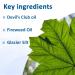Alaska Glacier Lotion - Nourishing Moisturizer with Devil's Club & Fireweed - Soothing Formula for All Skin Types - Refreshing Body Lotion from Alaskan Rainforest - Buy Online on GoSupps.com