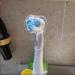Electric Toothbrush Cover for Oral B - Dustproof Protector for Toothbrush Heads | International Shipping Available - Buy Online on GoSupps.com