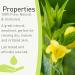 SENSOLI Evening Primrose Oil 100ml - Natural Unscented Moisturising Oil for Hair Face and Body Care - in Brown Glass Bottle - Buy Online on GoSupps.com
