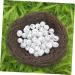 Buy Wofashpuret Artificial Spring Branches & Bird Nest Decor - 20cm Floral Moss Decoration for Home & Garden - Buy Online on GoSupps.com
