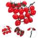 ABOOFAN String Simulated Cherry Tomatoes Fruit Decor Models Mini Toys Kitchen Tomatoes Kids Toy Photography Props Lifelike Cherry Tomatoes Fake Cherry Tomatoes Adorn Child Pvc Plant House Red 18X16CM - Buy Online on GoSupps.com