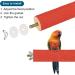 PATICIL 1.1x5.5 Bird Paw Wood Bar Stand - Ideal Cage Accessory for Parrots Lovebirds and Budgies - Red - Buy Online on GoSupps.com