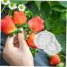 SEWOART 1 Set Shaping Clear Mold Vegetable DIY Molds Melon Stereotypes Plastic Forming Machine - Buy Online on GoSupps.com