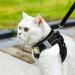 Adjustable Cat Dishes Set - Reflective Soft Lining & Breathable Mesh for Outdoor Training | M Size (Black) - Buy Online on GoSupps.com
