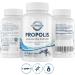 Propolis 2000mg - 180 High-Dose Tablets for Immune Support Sore Throat Relief & Antioxidants | Buy Natural Propolis Online - Buy Online on GoSupps.com