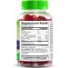 21st Century VitaJoy Gummies Sambucus Elderberry - 60 Vegetarian Gummies for Immune Support - Buy Online on GoSupps.com