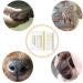 Paw Ointment Stick Cat Paw Ointment Stick Paw Ointment Stick for Dogs Njula Paw Care Stick Pet Care Cream Paw Pad Moisturizer Stick Paw Care Balm Paw Ointment for Cats and Dogs (2pcs) - Buy Online on GoSupps.com