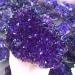 for 500-1000g Natural Amethyst Crystal Cluster Quartz Point Purple Crystal Druse Specimen Minerals Reiki FUZEGRDLI (Size : Approx 800g) - Buy Online on GoSupps.com