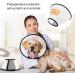 Adjustable Pet Cone Collar for Large Dogs | Lightweight Elizabethan Protective Collar (43.5-50CM) - Shop Now! - Buy Online on GoSupps.com