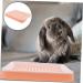 BESPORTBLE Box Hamster Toilet Rabbit Litter Tray Ferret Automatic Cat Litter Tray Sifting Litter Tray Pink Pp 24.50X19.50X3.00CM Pink - Buy Online on GoSupps.com