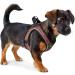 Hunter Dog Harness Hilo Comfort XXS-XS in Pink - Premium Pet Gear for Small Dogs - Buy Online on GoSupps.com