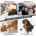 Kuoser Dog Recovery Suit - Medical Body Pajamas for After Surgery Anti-Licking Wound Protection Cone Alternative (S Gray) - Buy Online on GoSupps.com