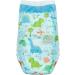 The Honest Company Toddler Training Pants 4T/5T Dinosaurs 76 Count | Eco-Friendly Underwear-Like Fit | Stretchy Waistband & Tearaway Sides | Potty Training Essential - Buy Online on GoSupps.com