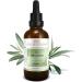 Premium Olive Sheet Tincture 50ml - Vegan Nutritional Supplement | Oleum European Drops (1:4 Extract) Manufactured in Austria - Buy Online on GoSupps.com