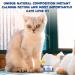 Calming Diffuser for Cat Cat Calming Pheromone Diffuser Kit for Cat Anxiety Relief Cat Calming Starter Kit(1 Diffuser + 1 Refills) - Buy Online on GoSupps.com