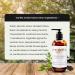 Vanilla Smoke Tallow Lotion - Grass Fed Beef Tallow for All Skin Types | 8 Fl Oz - Nourish & Moisturize Your Skin - Buy Online on GoSupps.com