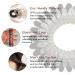 Rayyl Spiral Hair Gum - 36 Pain-Free Elastic Hair Ties for Thick Hair | Seamless Ponytail Holders for Women & Girls - Buy Online on GoSupps.com
