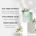 The Face Shop Tea Tree Toner Pads - Exfoliating AHA BHA PHA Cotton Pads for Uneven Skin Tone & Pore Minimizing - Korean Skincare Essentials - Buy Online on GoSupps.com