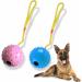 Ball On Rope Dog Toy Heavy Duty Pet Chew Rope Pimpled Ball Interactive Dog Pull & Tug Toy Studded Ball Tugger For All Dog Puppy Essentials Pet Accessories 40cm X 6.5cm Assorted Colours (Pack Of 1) - Buy Online on GoSupps.com