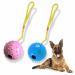 Ball On Rope Dog Toy Heavy Duty Pet Chew Rope Pimpled Ball Interactive Dog Pull & Tug Toy Studded Ball Tugger For All Dog Puppy Essentials Pet Accessories 40cm X 6.5cm Assorted Colours (Pack Of 1)