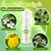 Hemorrhoids Treatment Spray for Fast Relief - 30ml | Natural Hemorrhoid Relief for Anal Itching, Bleeding, and Discomfort - Buy Online on GoSupps.com