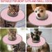 Cat Recovery Collar Vivifying Cat Cone Adjustable Cat Neck Protective Cat Collar Waterproof Elizabethan E Collar for Cats Kittens Puppies after Surgery to Stop Licking Wounds (Pink Size M) - Buy Online on GoSupps.com
