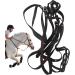 Horse Halter - Heavy Duty Adjustable Tied Halter with Chin & Throat Snap Colorful Comfortable Padded Nylon Horse Halter for Equestrian Training Horse Care Black - Buy Online on GoSupps.com