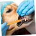 BCOATH 10pcs Puppy for Cat Pets Small Supplies Portable Nylon Clean Tooth Pet Dual-head Dog Brush - Buy Online on GoSupps.com