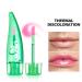 Buy AKARY Lip Glow Color Changing Lip & Cheek Oil | pH Reacting Tinted Plumping Lip Gloss | Long-Lasting Moisture & Radiant Finish - 04 Thermal Discoloration - Buy Online on GoSupps.com