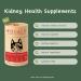 EQUALS Healthy Kidney Supplements for Cats 50g - Buy Online on GoSupps.com