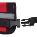Dog Knee Brace for Cruciate Ligament Injury Joint Pain and Muscle Sore with Better Recovery Adjustable Rear Leg Braces (L) Large - Buy Online on GoSupps.com