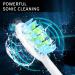 HONGGOLD Sonic Toothbrush for Adults and Kids - 5 Modes Electric Toothbrush with Smart Timer, 6 Brush Heads, Waterproof IPX7 - Black - Buy Online on GoSupps.com