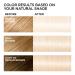 L'Oreal Paris Feria Extreme Platinum Hair Color - Pack of 2 - Buy Online on GoSupps.com