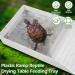 Tortoise Bath Dish Tortoise Water Bowl with Anti-Slip Ramp Reptile Food Dish Hermit Crab Climbing Toy Reusable Reptile Accessories Amphibians Habitat for Turtles Horned Frogs and Lizards Granite Color - Buy Online on GoSupps.com