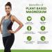 Himalayan Organics Plant Based Magnesium 220mg - 120 Veg Capsules | Natural & Vegan Formula - Buy Online on GoSupps.com