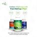 True Moringa Plus+ Focus Support Supplement 10:1 Extract | 20 000mg of Organic Moringa Reishi Cordyceps Lion s Mane Ashwagandha Bacopa Monnieri | Memory & Brain Health for Adults (150 Capsules) - Buy Online on GoSupps.com