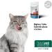 Innovet Restomyl Dentalcroc Improves Breath Controls Plaque and Tartar of Cats - Pack of 60 g - Buy Online on GoSupps.com